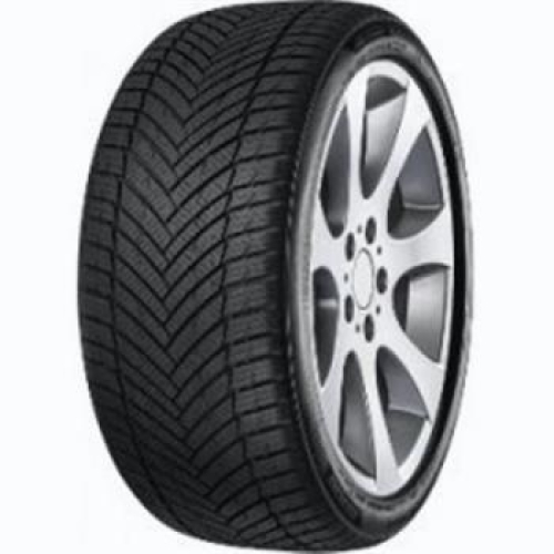 MINERVA AS MASTER 235/50 R19 103W