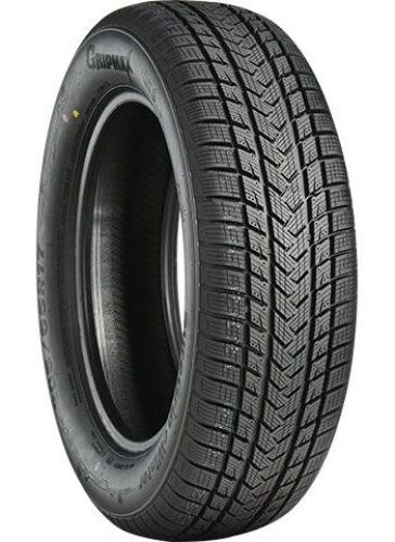 GRIPMAX SUREGRIP eWINTER XL 205/40 R17 84V