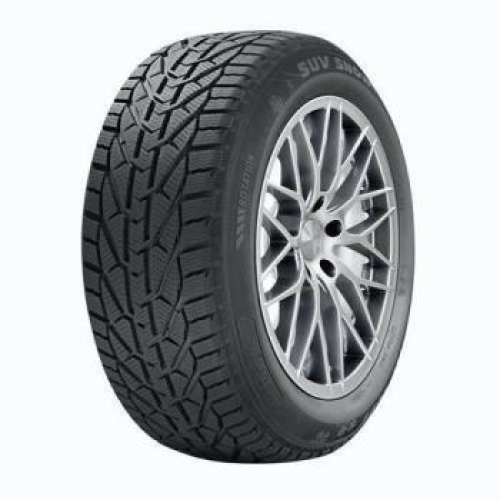 RIKEN SNOW 225/65 R17 102H